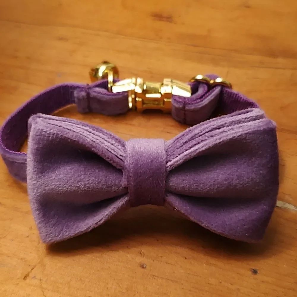 Purple Velvet Bow Cat Collar with Gold Bell and Breakaway Closure NWOT